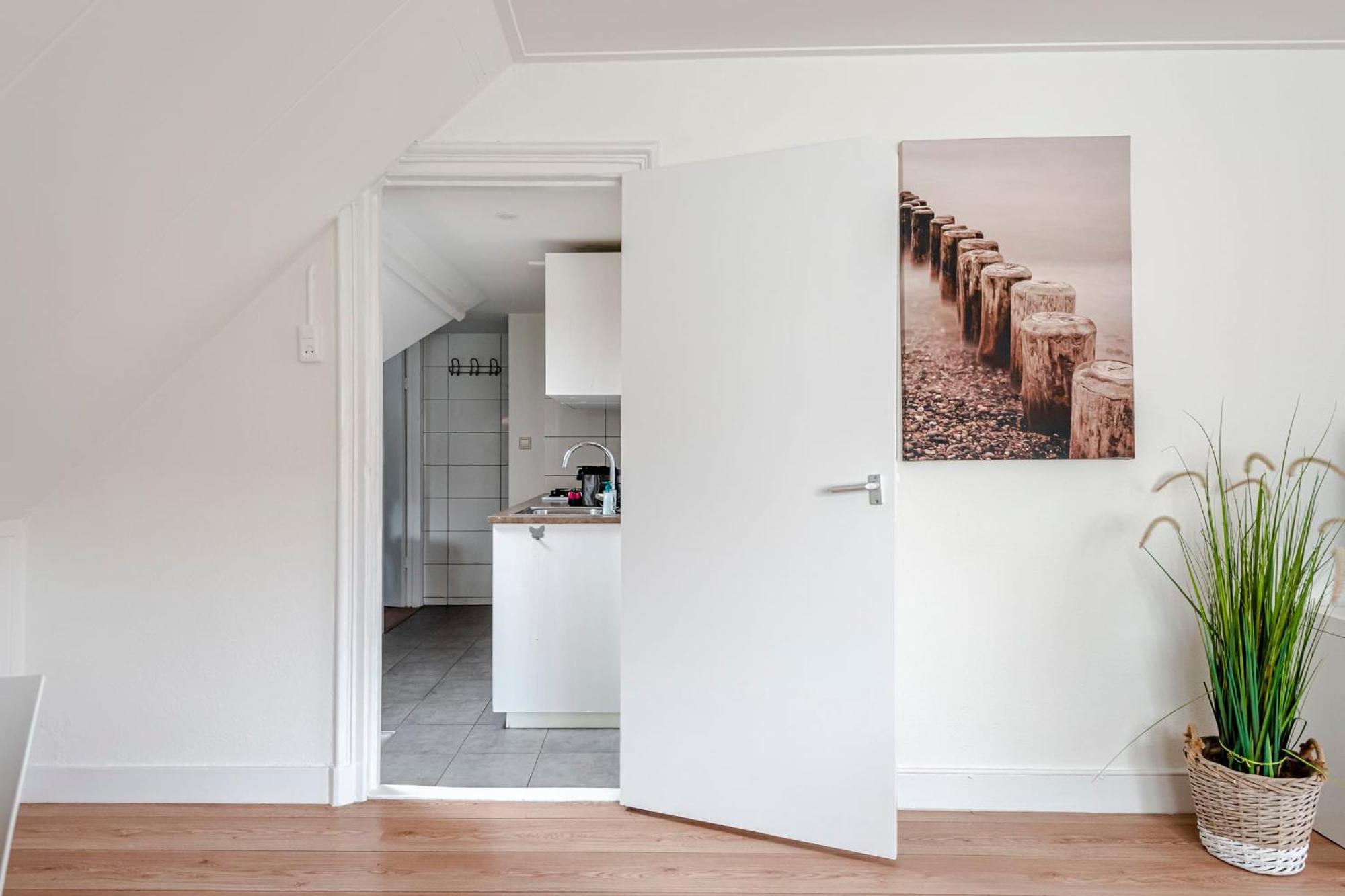 Zandkorrel Zandvoort Bagian luar foto